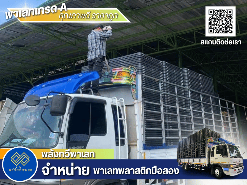พาเลทพลาสติกคัดเลือกคุณภาพ พร้อมใช้งาน สภาพ 95-99% พาเลทเกรด A